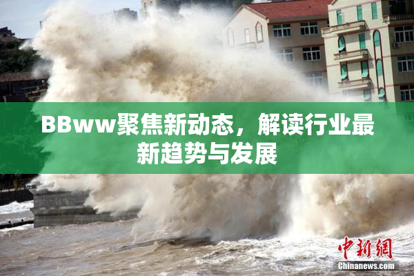 BBww聚焦新动态，解读行业最新趋势与发展
