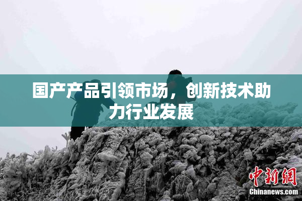 国产产品引领市场，创新技术助力行业发展