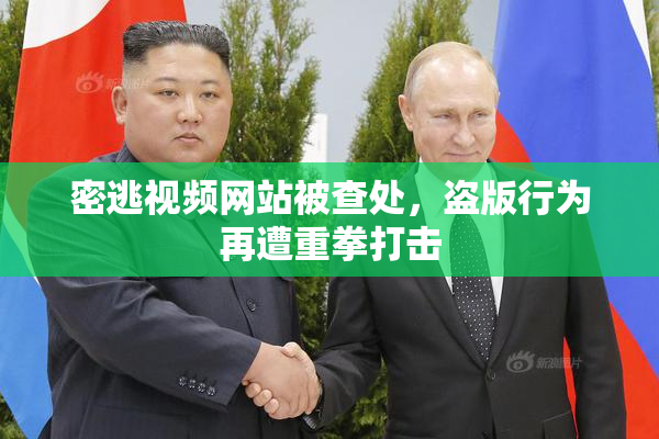 密逃视频网站被查处，盗版行为再遭重拳打击
