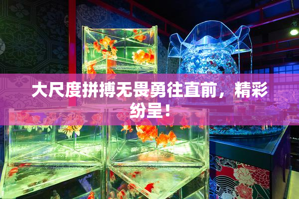 大尺度拼搏无畏勇往直前，精彩纷呈！