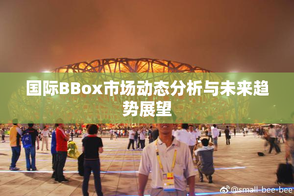 国际BBox市场动态分析与未来趋势展望