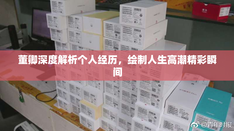 董卿深度解析个人经历，绘制人生高潮精彩瞬间