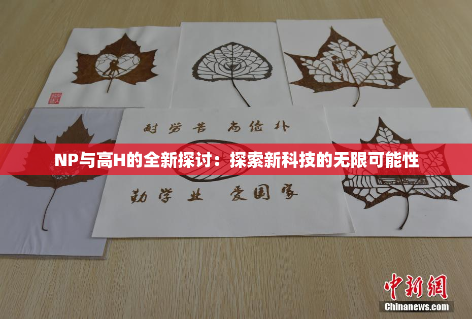 NP与高H的全新探讨：探索新科技的无限可能性