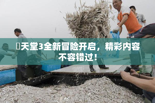 妺天堂3全新冒险开启，精彩内容不容错过！