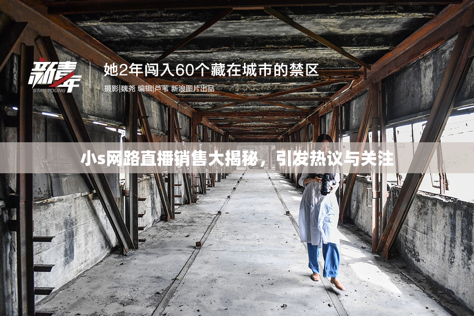 小s网路直播销售大揭秘，引发热议与关注