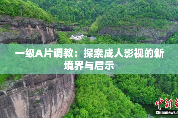 一级A片调教：探索成人影视的新境界与启示