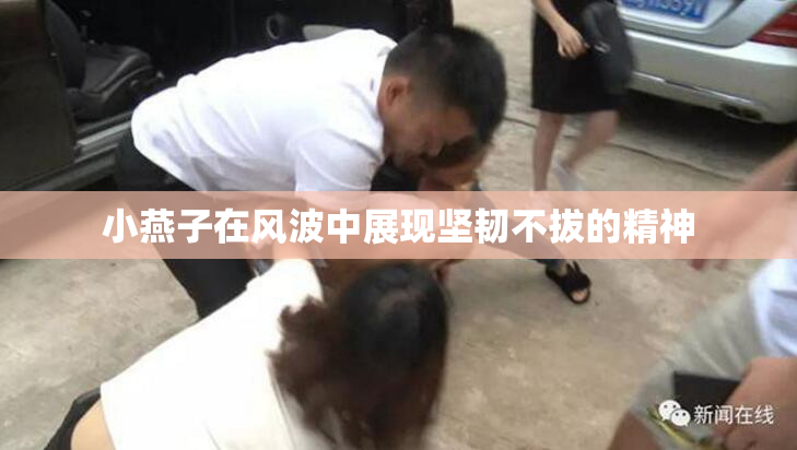 小燕子在风波中展现坚韧不拔的精神