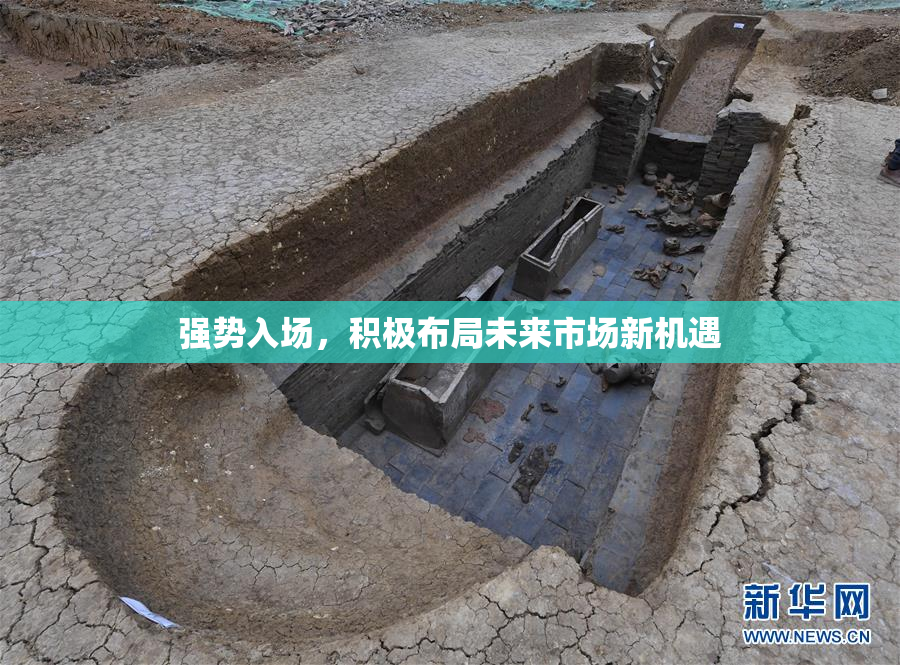 强势入场，积极布局未来市场新机遇