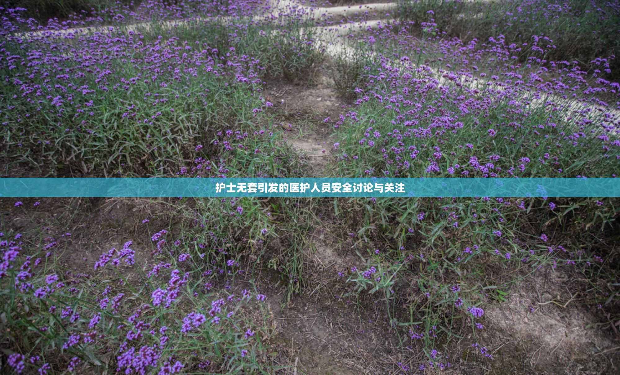 护士无套引发的医护人员安全讨论与关注
