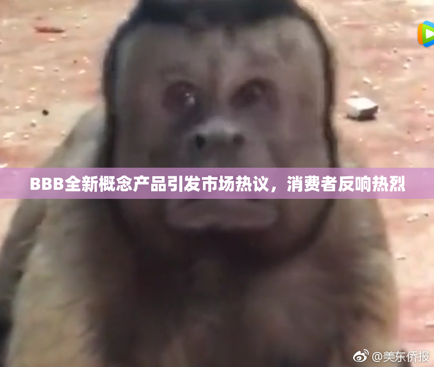 BBB全新概念产品引发市场热议，消费者反响热烈