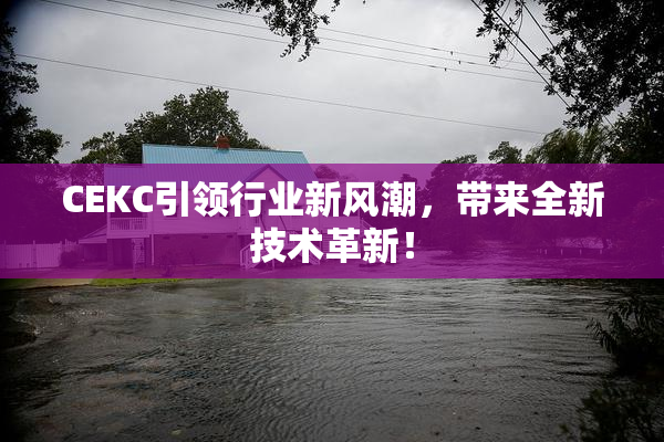 CEKC引领行业新风潮，带来全新技术革新！