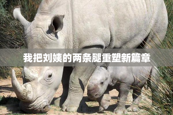 我把刘姨的两条腿重塑新篇章
