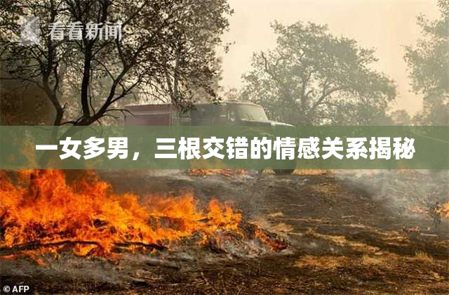 一女多男，三根交错的情感关系揭秘