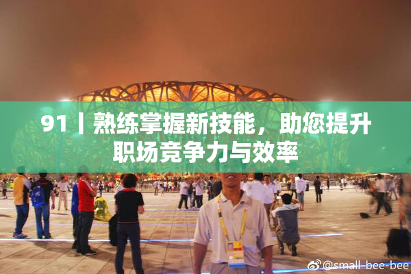 91丨熟练掌握新技能，助您提升职场竞争力与效率