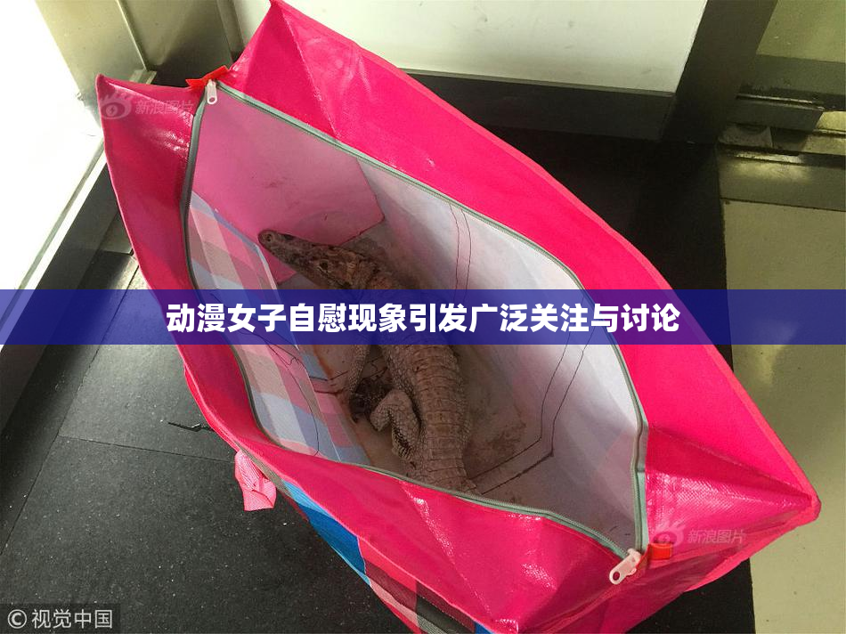 动漫女子自慰现象引发广泛关注与讨论