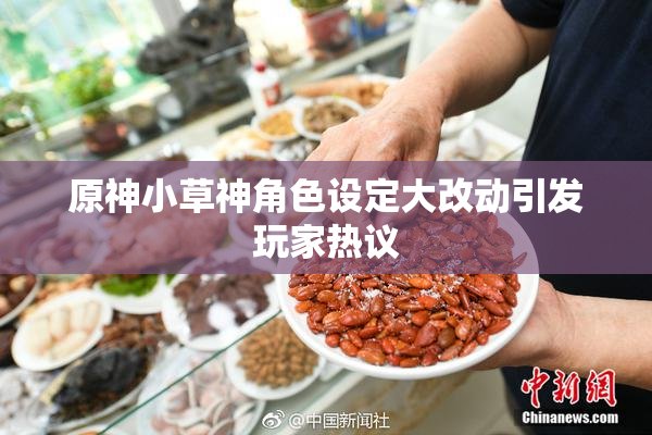原神小草神角色设定大改动引发玩家热议