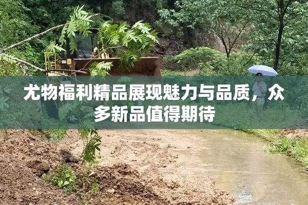 尤物福利精品展现魅力与品质，众多新品值得期待