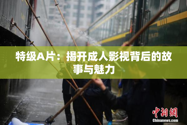 特级A片：揭开成人影视背后的故事与魅力