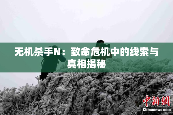 无机杀手N：致命危机中的线索与真相揭秘