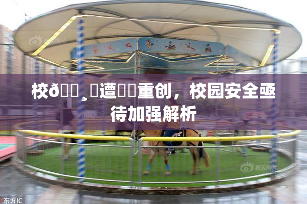 校🌸‌遭❌‌重创，校园安全亟待加强解析