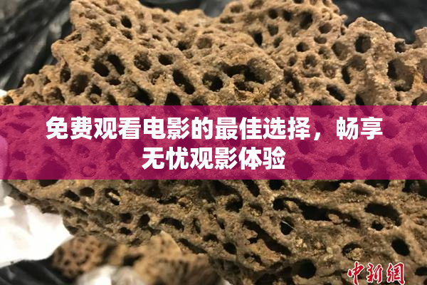 免费观看电影的最佳选择，畅享无忧观影体验