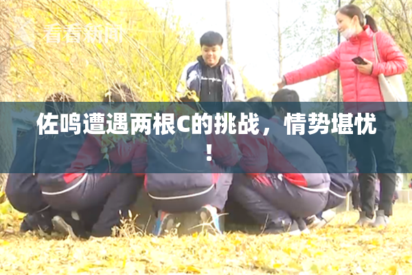 佐鸣遭遇两根C的挑战，情势堪忧！
