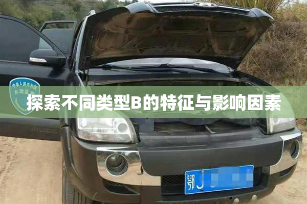探索不同类型B的特征与影响因素