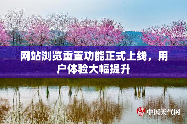 网站浏览重置功能正式上线，用户体验大幅提升