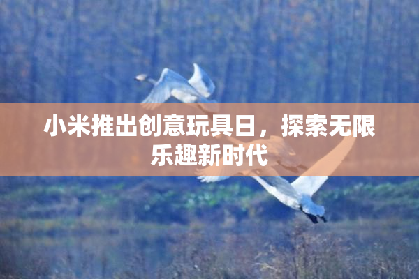 小米推出创意玩具日，探索无限乐趣新时代