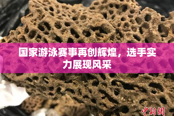 国家游泳赛事再创辉煌，选手实力展现风采