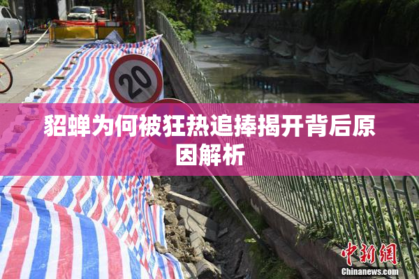 貂蝉为何被狂热追捧揭开背后原因解析
