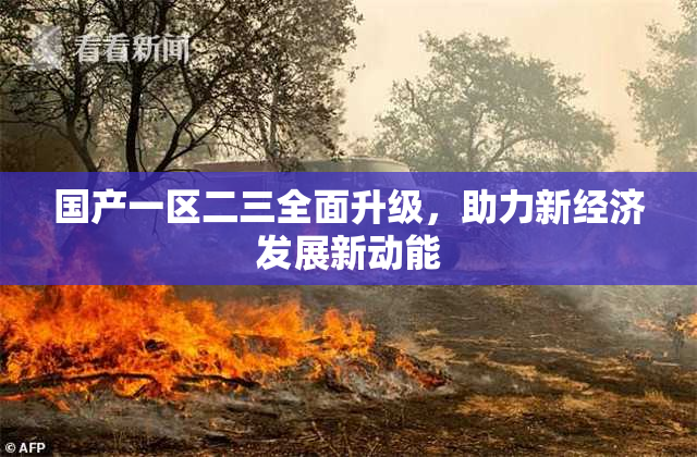 国产一区二三全面升级，助力新经济发展新动能