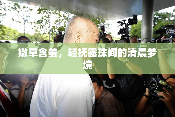 嫩草含羞，轻抚露珠间的清晨梦境