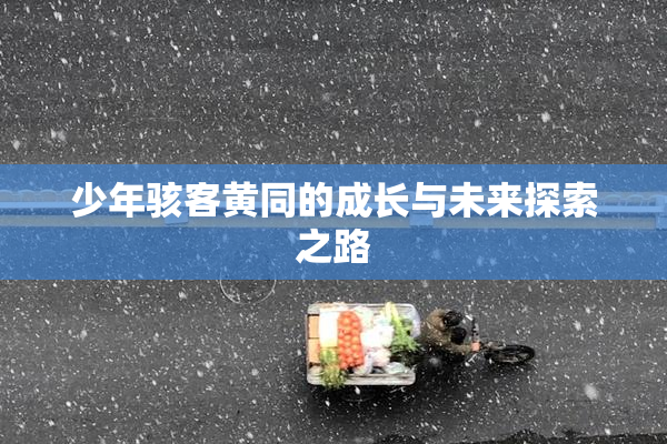 少年骇客黄同的成长与未来探索之路