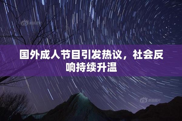 国外成人节目引发热议，社会反响持续升温
