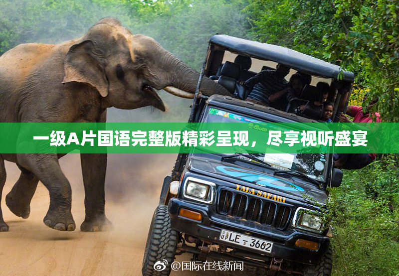 一级A片国语完整版精彩呈现，尽享视听盛宴