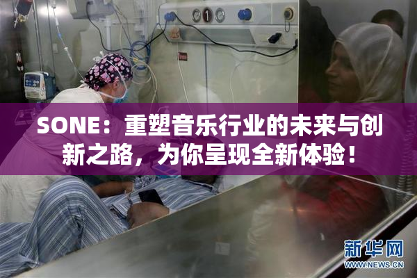 SONE：重塑音乐行业的未来与创新之路，为你呈现全新体验！