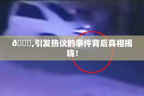 🈚,引发热议的事件背后真相揭晓！