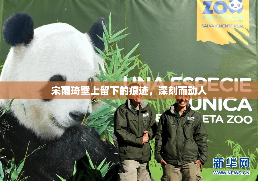 宋雨琦壁上留下的痕迹，深刻而动人