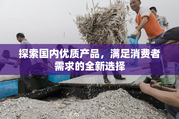 探索国内优质产品，满足消费者需求的全新选择