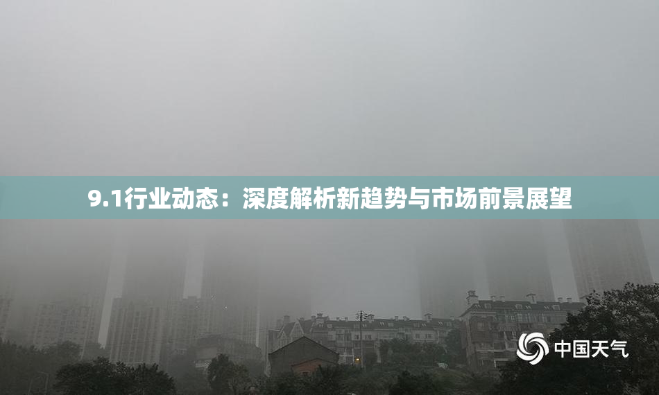 9.1行业动态：深度解析新趋势与市场前景展望