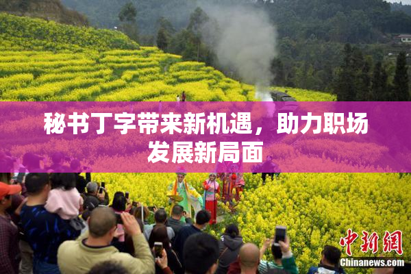 秘书丁字带来新机遇，助力职场发展新局面