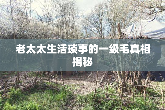 老太太生活琐事的一级毛真相揭秘