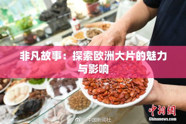 非凡故事：探索欧洲大片的魅力与影响