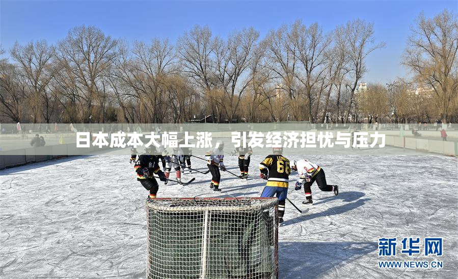 日本成本大幅上涨，引发经济担忧与压力