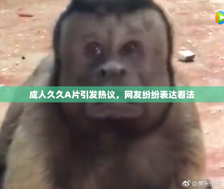 成人久久A片引发热议，网友纷纷表达看法