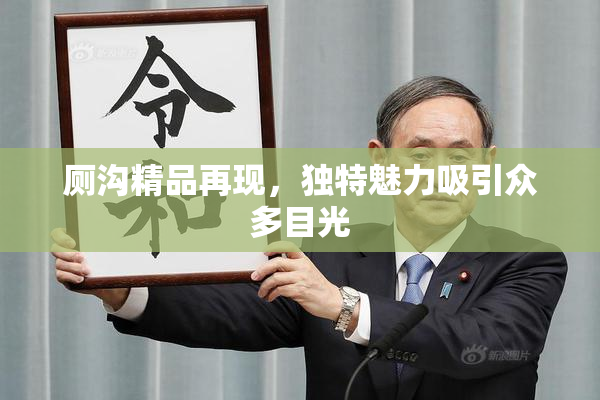 厕沟精品再现，独特魅力吸引众多目光
