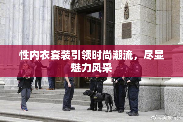 性内衣套装引领时尚潮流，尽显魅力风采