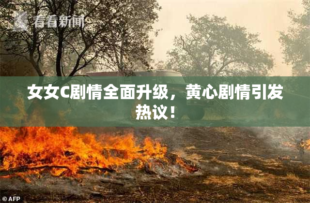 女女C剧情全面升级，黄心剧情引发热议！