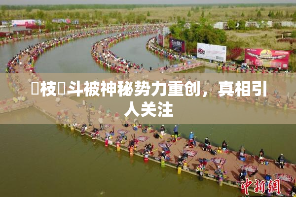 狛枝凪斗被神秘势力重创，真相引人关注